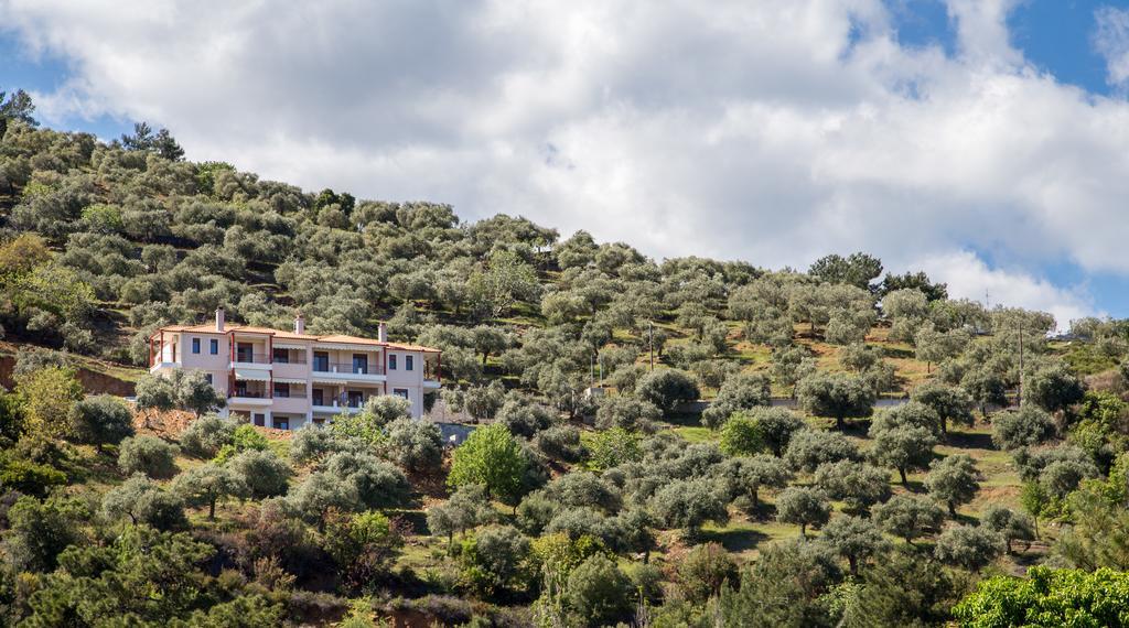 Aphrodite Villas コイニラ エクステリア 写真